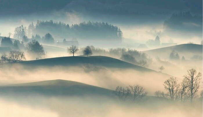 Le luci gialle sono efficaci contro la nebbia? In caso di nebbia la luce gialla non è sempre quella più efficace