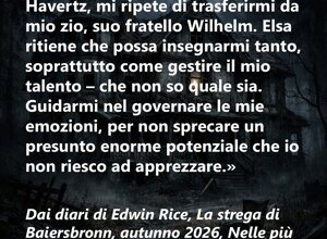 la%20strega%20di%20baiersbronn%202.jpeg la%20strega%20di%20baiersbronn%202.jpeg
