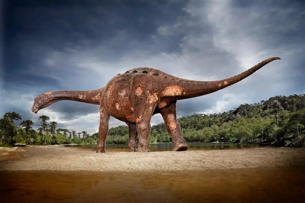 Uova di dinosauro di 72 milioni di anni scoperte a Mèze (Francia)
