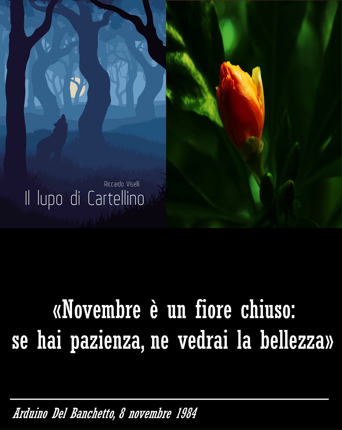 adb-novembre.jpeg novembre è un fiore chiuso