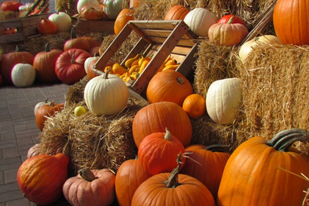 Ottobre: dati meteo - climatici e curiosità del secondo mese autunnale