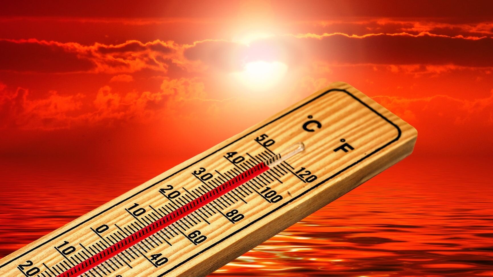 Temperatura media globale (REPORT WMO 2024 - Indicatore 2)
