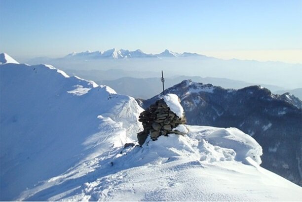 Aree climatiche Dfb e DfcH - Aree temperate ad inverno rigido senza stagione secca Aree climatiche Dfb e DfcH - Aree temperate ad inverno rigido senza stagione secca