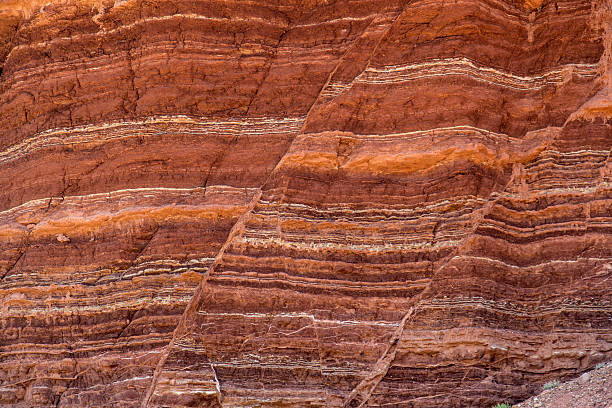La sorgente sismogenetica Bacino del Tammaro
