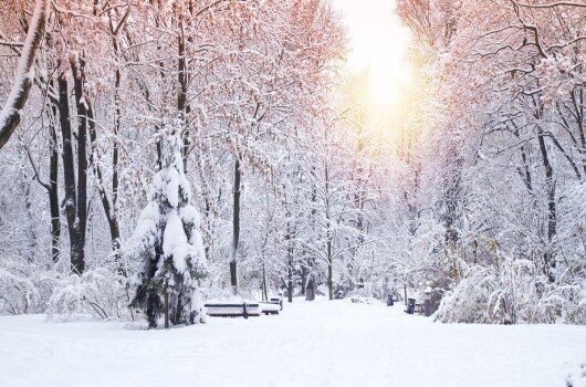 La neve in pianura a gennaio nel Lazio: frequenza e definizione probabilità prossimi eventi Probabilità neve in pianura nel Lazio in gennaio