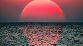 ee0ff42c69de939a7d4f4d6c42b9614123b5c1d0