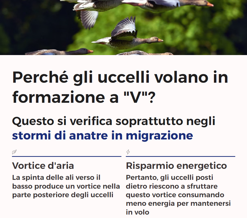 Perché le anatre volano con formazione a "V"?