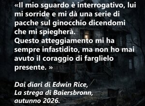 la%20strega%20di%20baiersbronn%205.jpeg la%20strega%20di%20baiersbronn%205.jpeg