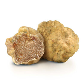 tartufo-bianco.jpeg