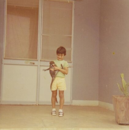 2cb44242-1bc5-4257-a89c-3af5f97bd0ef 2cb44242-1bc5-4257-a89c-3af5f97bd0ef