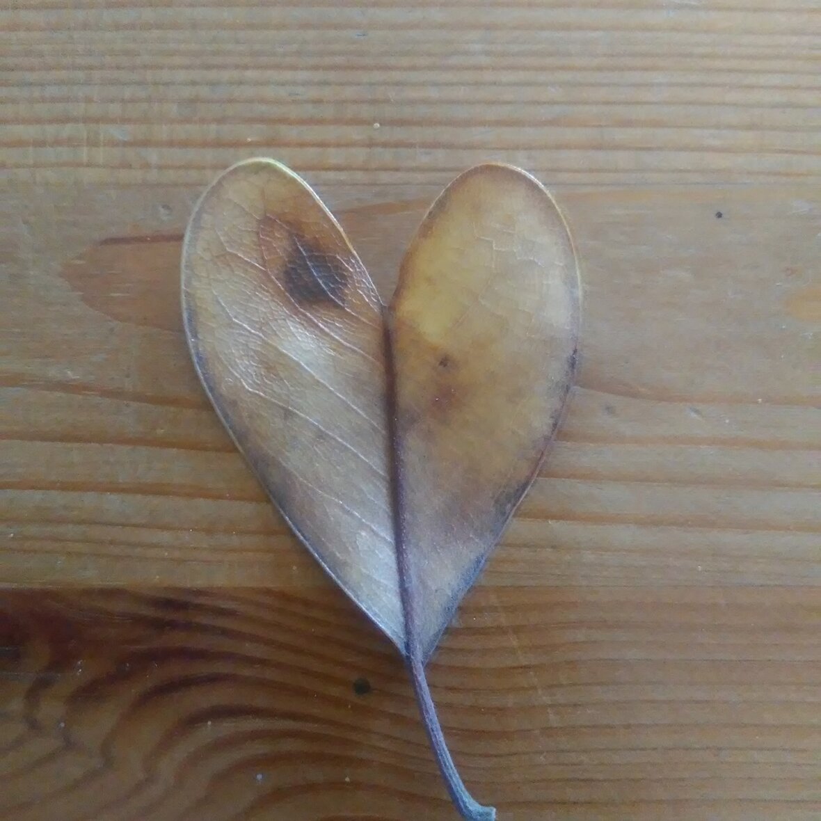 b6cc7c00-aaa7-4a14-b282-2f6dd558d8cc