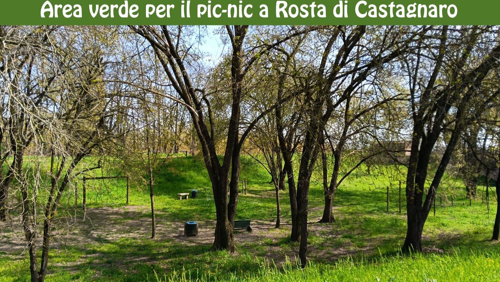 pic-nic-castagnaro.jpeg