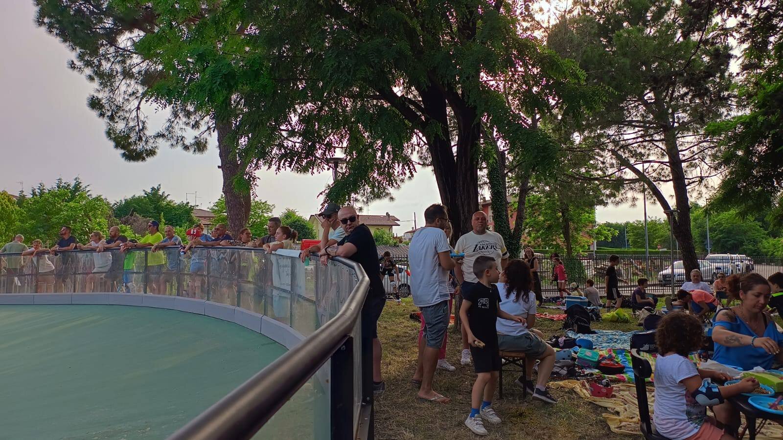 saggiopic-nic.jpeg saggiopic-nic.jpeg