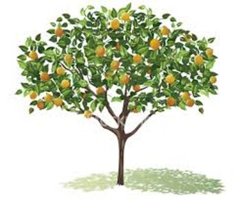 293f0fb7251b376b3264a0db73a840301e2e3824