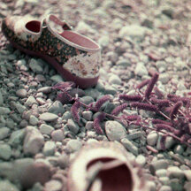 My shoes