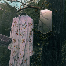 Still Life Colorization
