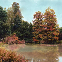 Parco Sempione Colorization