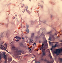 Nature ♡