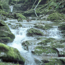 Nature ♡