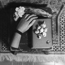 Natura morta still life
