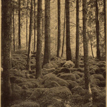 EPHEMERA