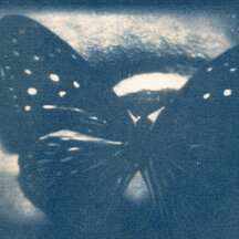 Cyanotype