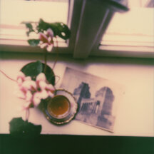Polaroid