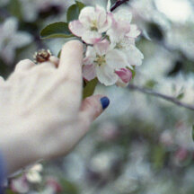 Wild Apple tree Selfportrait