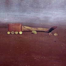 Natura morta tra mare e sabbia Still life