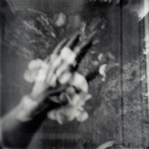 Polaroid