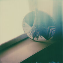 Polaroid