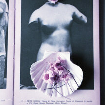 Female Still life