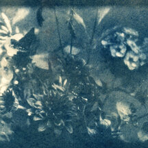 Cyanotype