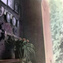 Colorization