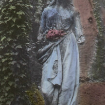Colorization