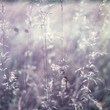 Nature ♡