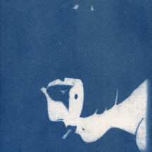 Cyanotype