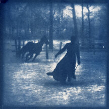 Cyanotype