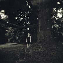Facciamo come gli alberi
