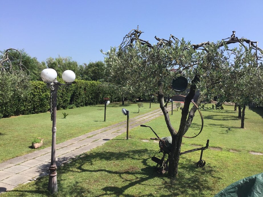 whatsapp image 2026-02-10 at 14.10.33-6.jpeg