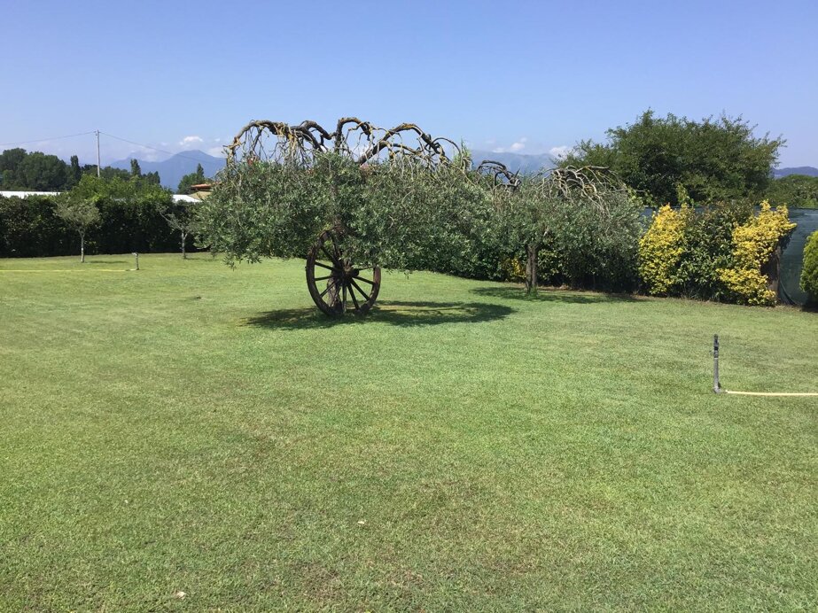 whatsapp image 2026-02-10 at 14.10.33-2.jpeg