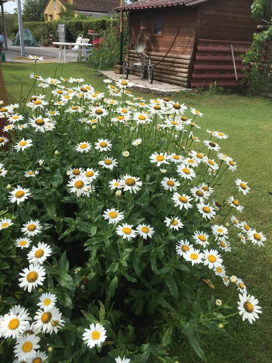 whatsapp image 2026-02-10 at 14.04.33-1.jpeg