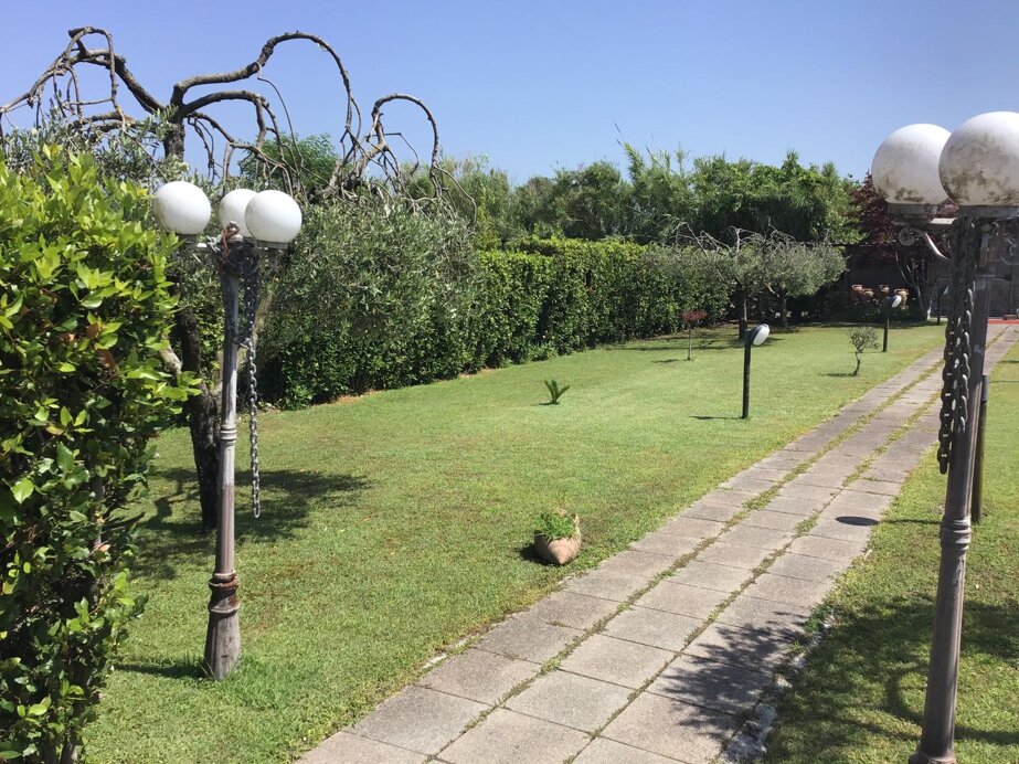 whatsapp image 2026-02-10 at 14.10.33-5.jpeg