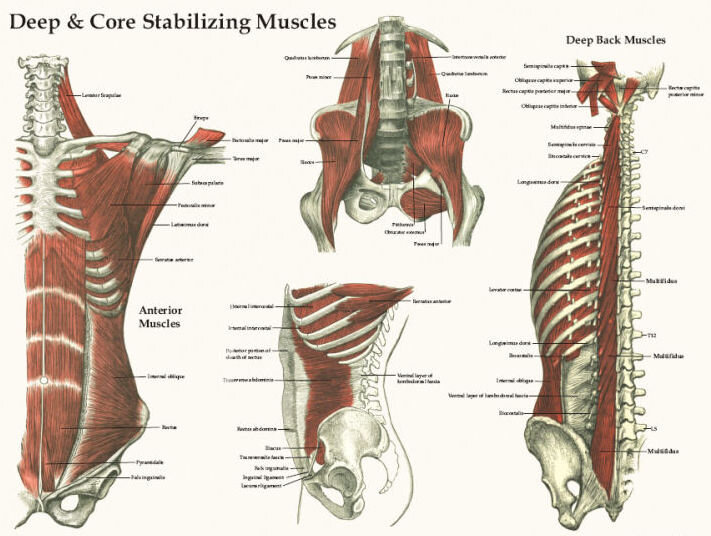 3c63cc25-08cd-4042-bf5d-0ca79af4c5f4.jpg 3c63cc25-08cd-4042-bf5d-0ca79af4c5f4.jpg