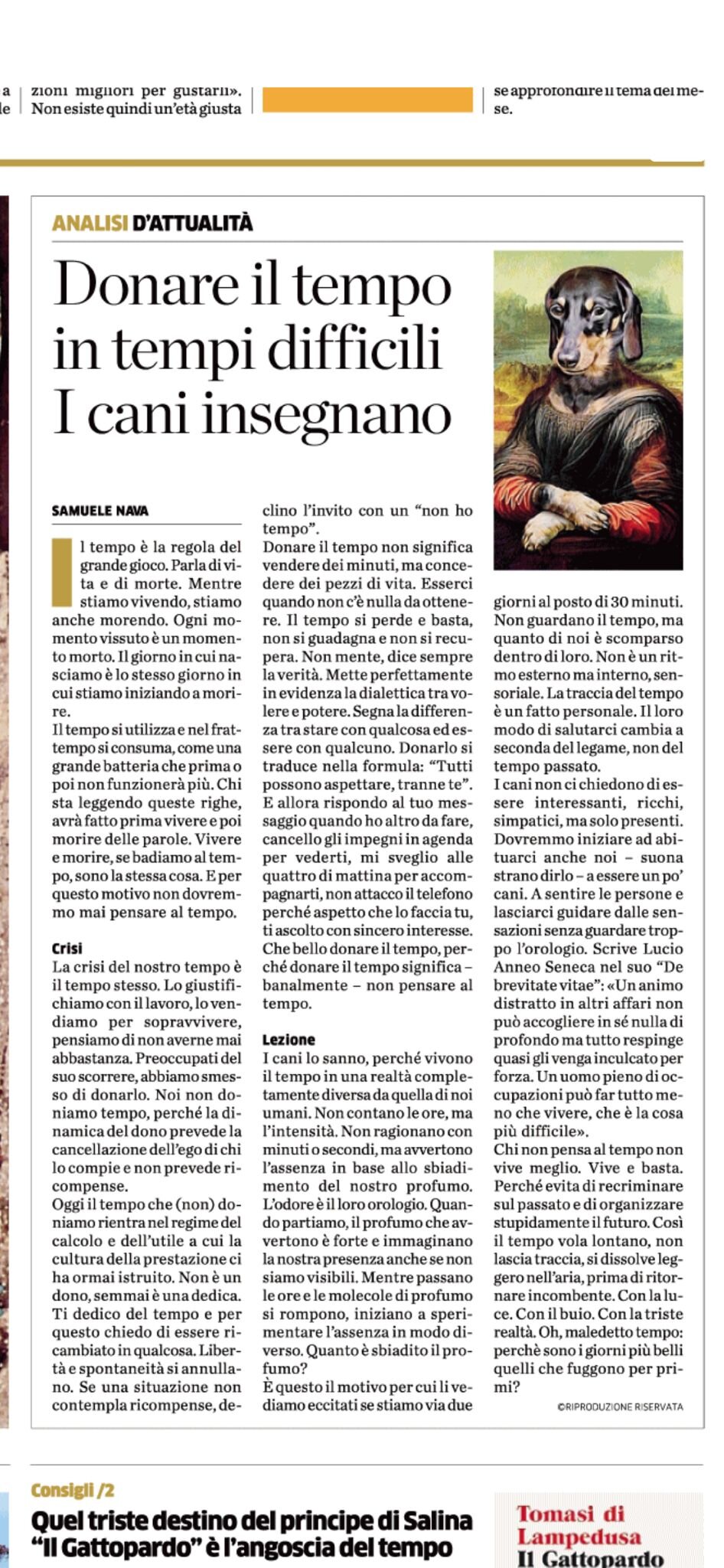 Donare il tempo in tempi difficili: i cani insegnano