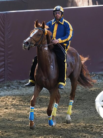 0edb20e6-44ef-4c86-8d2e-225058c9f499 0edb20e6-44ef-4c86-8d2e-225058c9f499