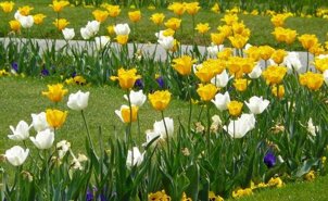 a1afbda3548a110d2ba7663adff68b6c2b186738