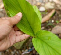 bef2e4f63e2191c3657392bcba9aede3c14e7814