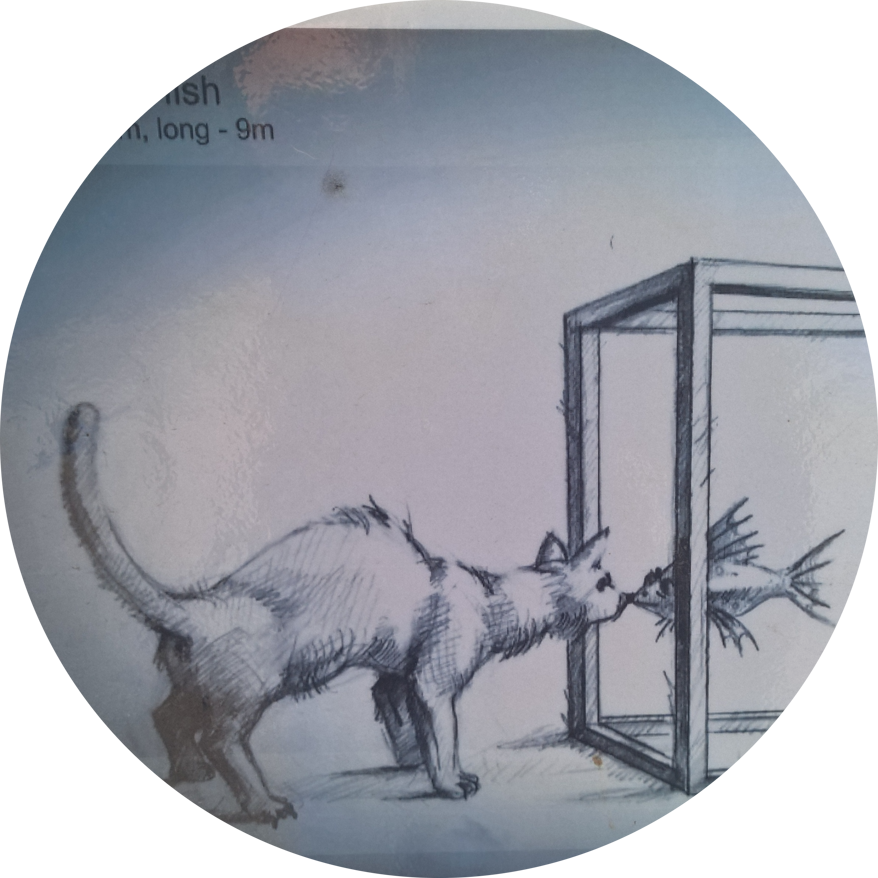 fd380ea1-5be5-41a1-a760-ecd870614dbf