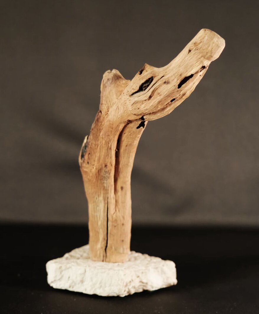 072cf13b-c0e7-4fa4-89ed-797223bd4fa6